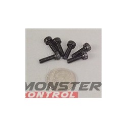 HPI Cap Head Screw M3 X 10 (6)