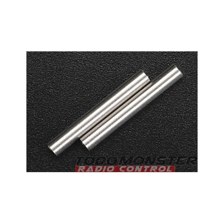 Lunsford Racing Lower Inner Ti Hinge Pins Revo