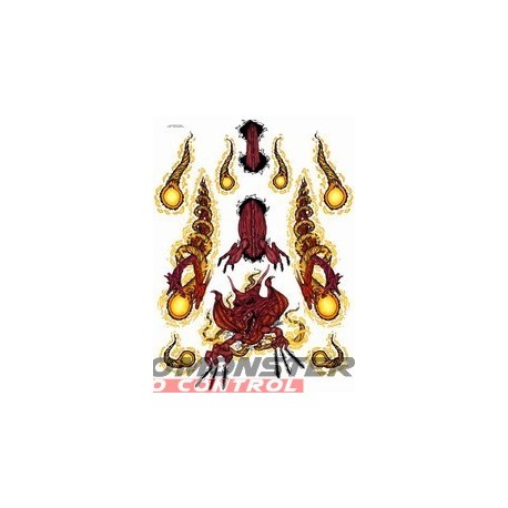 Racers Edge Twisted Dragons Decal Sheet